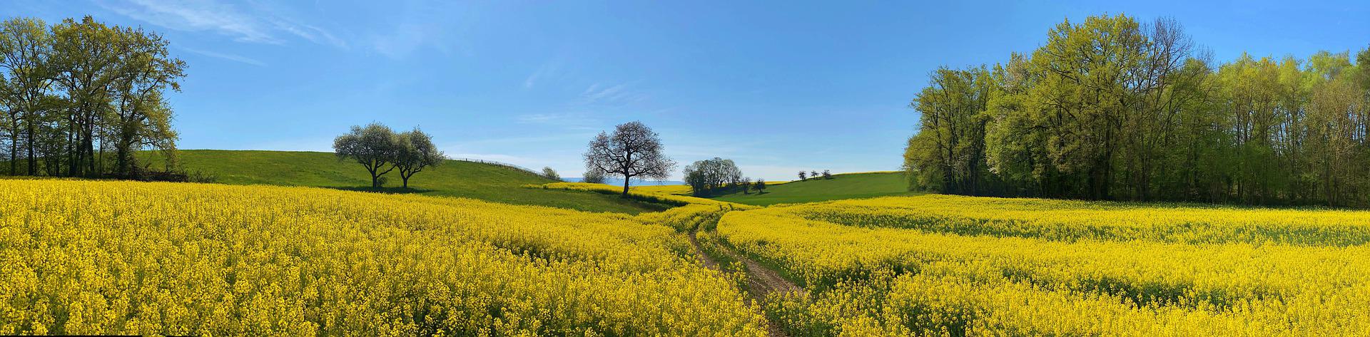 photo de paysage