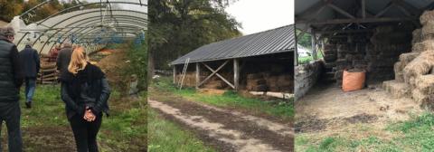 FERME