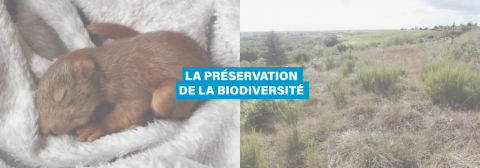 biodiversité