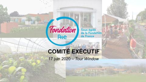 Comité