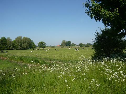 zone rurale